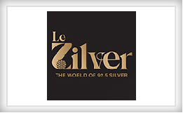 Le_zilber