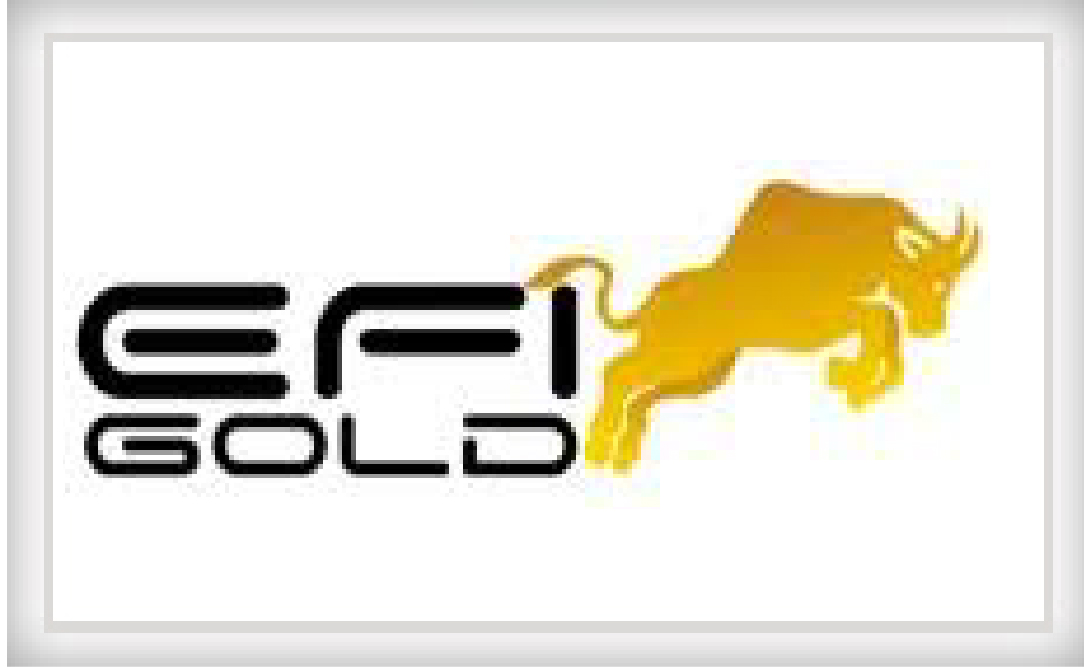 efiGold