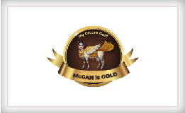 mydream_gold